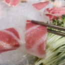 회친구참치 이미지