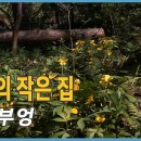 숲속에작은집 이미지