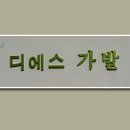디에스가발