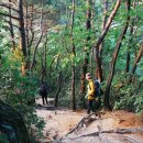 도명산(650m) 충북 괴산군 청천면 이미지