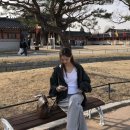 에드비붙임머리 강남점 내돈내산 후기 | 첫 시술부터 리터치까지