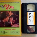 얄개비디오 이미지