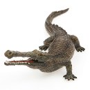 사르코수쿠스 이미지