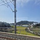 한국화장품 대전중앙지사 | 대전 여행 1박 2일 [ 테미오래, 삐아또,국립중앙과학관, 대전유교별서 후기]