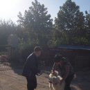 영림농장 이미지