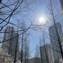 래미안 정문 | [래미안 안양메가트리아] 낮에 직접 걸어본 후기