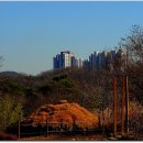 안산 화랑유원지 이미지