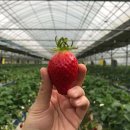 이슬농장2 이미지