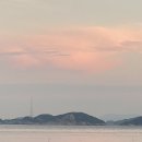 비진도 여행] 비진도 2박 3일 마지막 + 거제도 여행 시작 ~! (세컨드그라운드/ 성포양조장/ 고현시장)