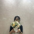 마이미플레르 네이버블로그