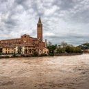 생태와 기후변화이야기 이미지