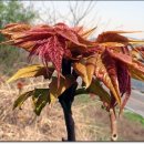 김영식농장 이미지