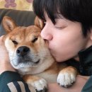 플러스디아이(주) | txt 7주년 축하합니다아