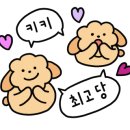 제주돌집 탱자싸롱 이미지