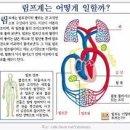 힐링팜