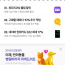 펫플러스라이프 | 네이버 펫바우처 후기 | 바잇미 보솜패드 56% 할인 득템!