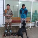 비내섬의 아침 이미지