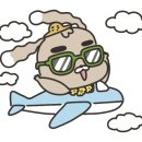 써니스테이 이미지