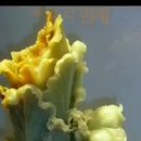 바람처럼구름처럼 이미지