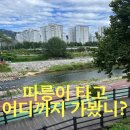경춘선 자전거도로1 | 따릉이투어🚲 서울창포원, 도봉~경춘선숲길, 뚝섬한강공원 일몰 사냥