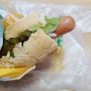 도그팡팡 이미지