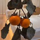 동강로 | 울가족 여행기록♡ 덤으로 [ 영월 더 쉼 ] 강원도 숙소 내돈내산 후기 덧붙이기