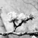 교동1리 이미지