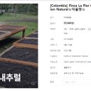 커피파나마