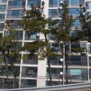 새하늘내과의원 이미지