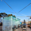 충북의 생생한 역사가 있는 청주_정기투어 | 청주 아이와 가볼만한곳 잠사박물관 눈썰매장 입장료 할인팁과 솔직후기