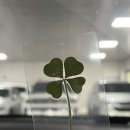 마리팜약국 이미지