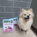 나투어리베 이미지