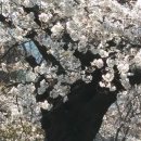 구두병원 - 충주시 예성로 156 | 구두병원