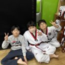 강일태권도 이미지