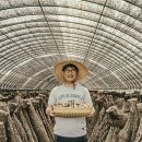 아버지농장 이미지