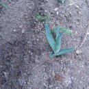 성중농장 이미지