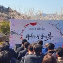 광양매화문화관 이미지