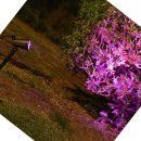 아름다운쇼핑나라 이미지