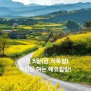 4월 5일(금.식목일)아침을 여는 건강한 에코힐링(글 전체보기는 글주소 클릭!) 이미지