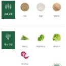 샐러디 서울시청점 이미지