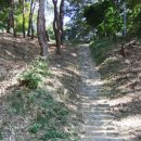 정자낚시터 이미지