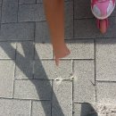두꺼비PC 이미지