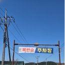 연지바이올린 | 김해 목련숲 2026 최신 개화상황, 주차장, 포토존 총정리. 지금 가야 하는 김해 봄꽃 명소
