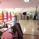 투혼체육관 이미지