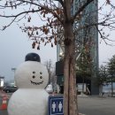 가평 남이섬 투투스파펜션 이미지