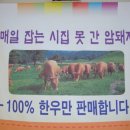 우리동네  정육점 이미지