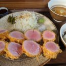 카츠닉 이미지