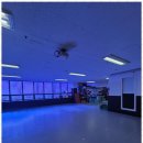 용인대수석태권도 이미지