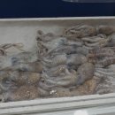 동대구수산 이미지