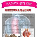 카이로프락틱 이미지